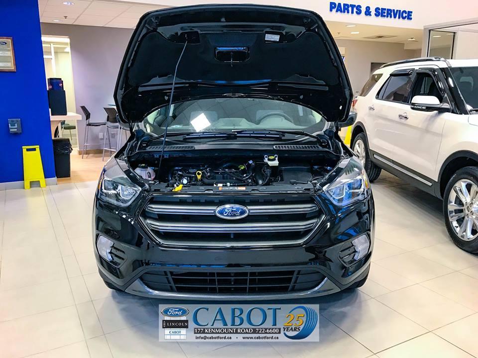 2019 Ford Escape SEL at Cabot Ford in St. John's Newfoundland 2019 Ford Escape SEL at Cabot Ford in St. John's Newfoundland
